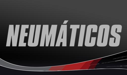 Neumáticos